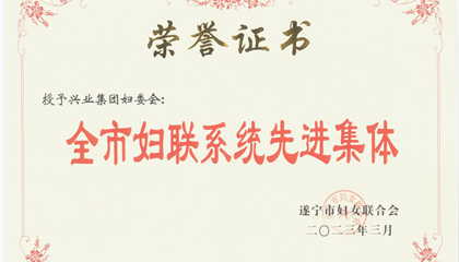 喜報(bào)！興業(yè)集團(tuán)婦委會(huì)榮獲“全市婦聯(lián)系統(tǒng)先進(jìn)集體”榮譽(yù)稱號(hào)