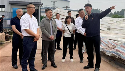 興業(yè)集團黨委開展“黨建引領聚合力 攻堅克難顯擔當”主題黨日暨現(xiàn)場教學活動